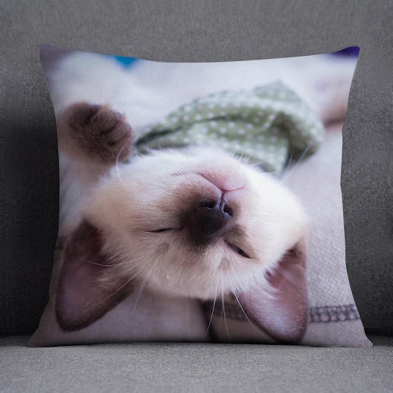 Cat Series Pattern Decorative Pillowcase, Square Home Office Decoration (45Cm * 45Cm)