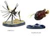 Calorata 3D Fish Figures Species Includes Realistic Toy Birthday Gift Sanitation Law Realistic Figure Box Gift Deep-Sea (7 / Instructions)