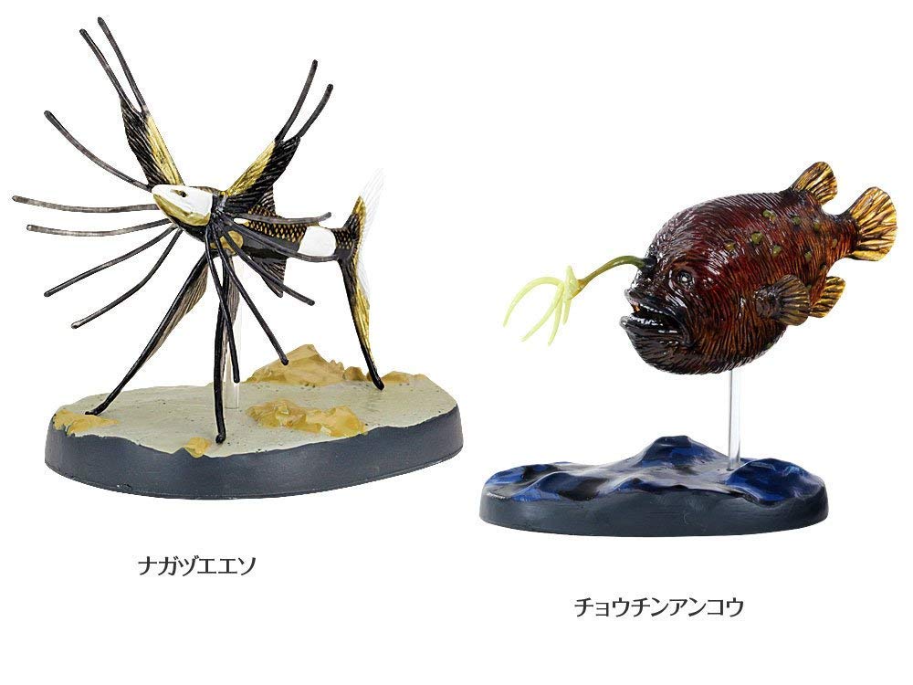 Calorata 3D Fish Figures Species Includes Realistic Toy Birthday Gift Sanitation Law Realistic Figure Box Gift Deep-Sea (7 / Instructions)
