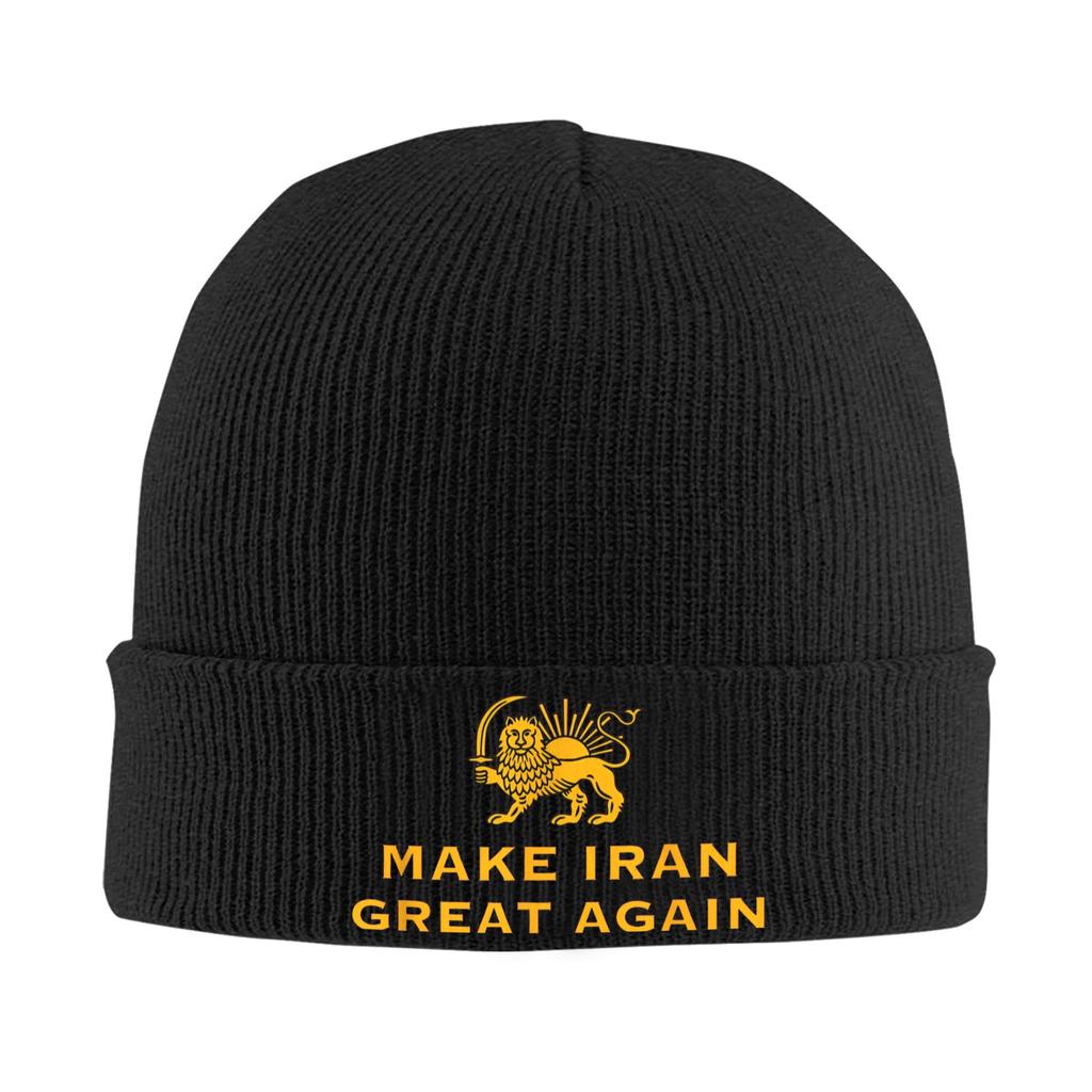 Lion and Sun of Flag Emblem Knitted Caps Women's Men's Beanie Autumn Winter Hats Acrylic  Warm Caps