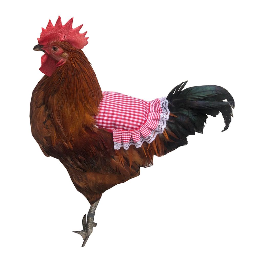 Klädskynke för kyckling Mjuk Justerbar Kycklingryggjacka Kycklingsele Väst Fjäderkycklingförkläde Skyddande Fjädrar