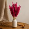 Natural Dried Cantal Grass Bunch, Pink — Pack of 6