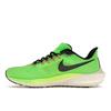 Nike Air Zoom Pegasus 39 Ekiden Zoom Pack Unisex tenisky Green Scream-Green Coconut-Milk DZ4776-343