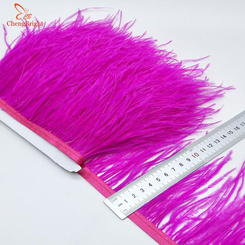 FeatherChengBright High Quality 10Yards Mint Green Ostrich Feather Ribbon Ostrich Feathers Trim Fringe Clothing Decoration