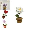 Handmade Potted Plant Artificial Knitting Flower Decoration Diy