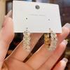 Korean Style Shiny Zircon Hoop Earrings: Fashionable High-End Douyin-Inspired Design