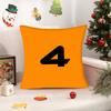 Famous racing L-LandoS car N-Norris COOL  Pillowcases cushion covers living room sofas home decor gifts
