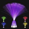 Luminous LED Fiber Optic Lamp Creative Atmosphere Lamp Starry Sky Light  Holiday Camping
