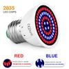 LED Plant Growth Lamp Bulb Succulent Fill Light Copa E27 220V Used for Planting Full-spectrum Seedlings
