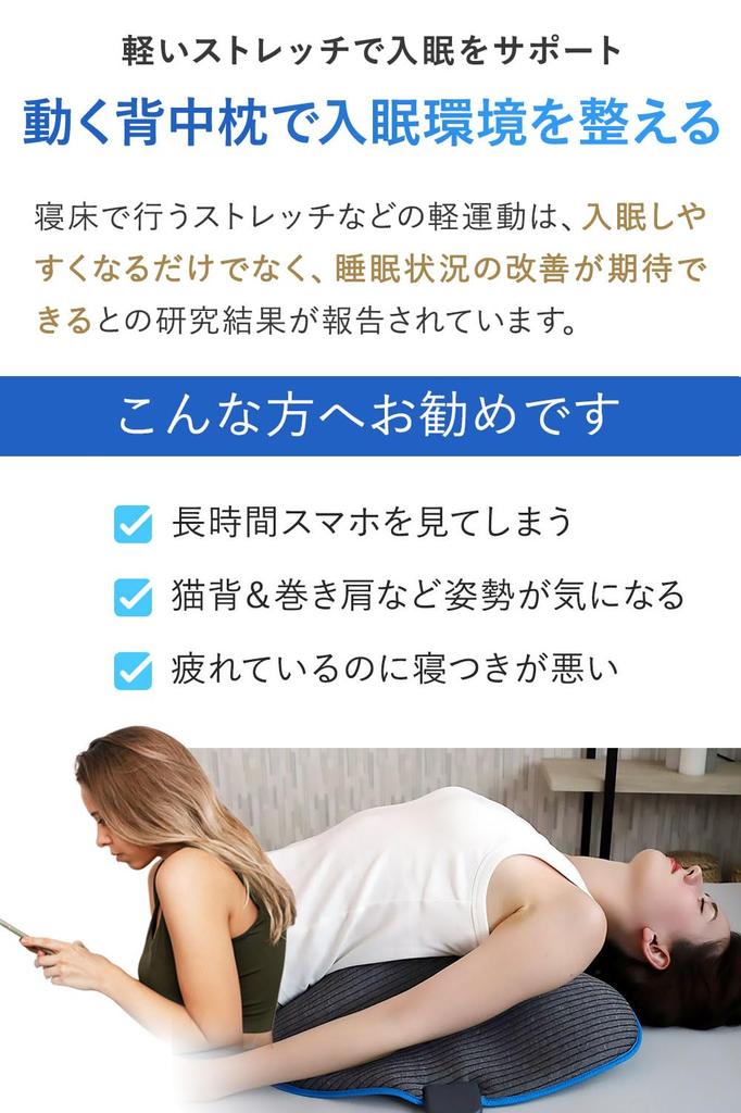 Moving Back Pillow Blue Blood Air Tech Back Pillow Back Stiffness