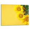 Glass Plate Cutting Board 52X40 Flowers