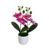 Artificial Phalaenopsis Flowers Decorative Plant For Home And Decoration Event