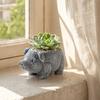 Decorațiuni pentru casă – Ghivece de flori decorative