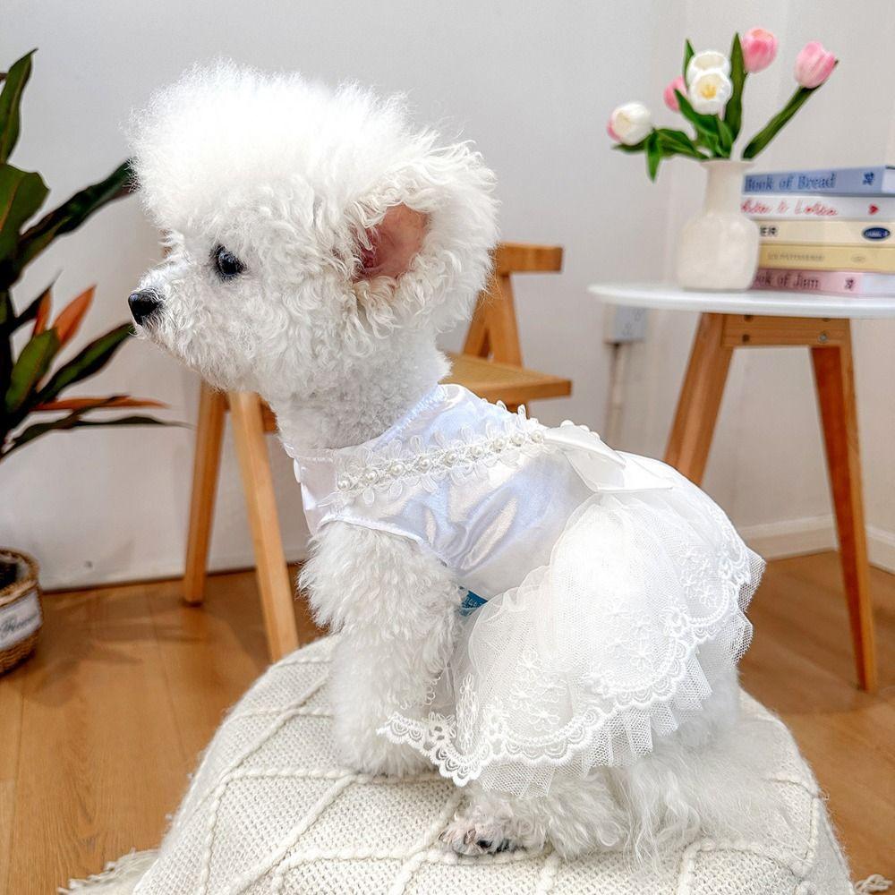 Princess Style Cat Princess Dresses Pretty Puppy Wedding Skirt Dog Lace Skirt  Pet Costumes