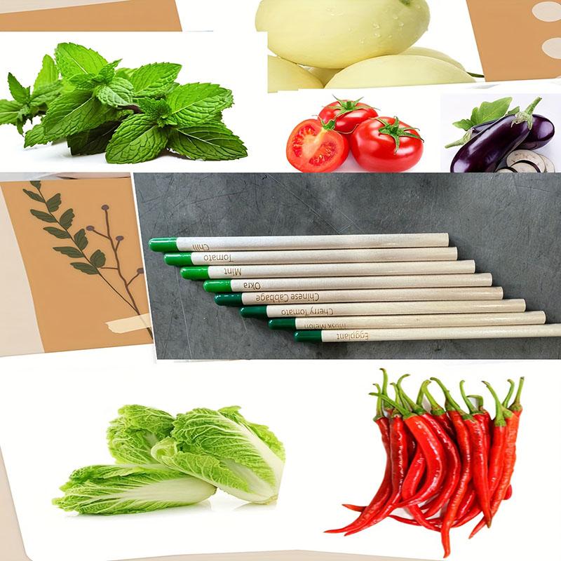 Green Vegetable Gift Pencils - A Wonderful Gift - 8 Pieces per Set