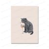 Funny Cat Taste Champagne Lazy Summer Canvas Painting Cat Lover Gifts Kitchen Wall Art Picture for Living Room Home Decor Poster
