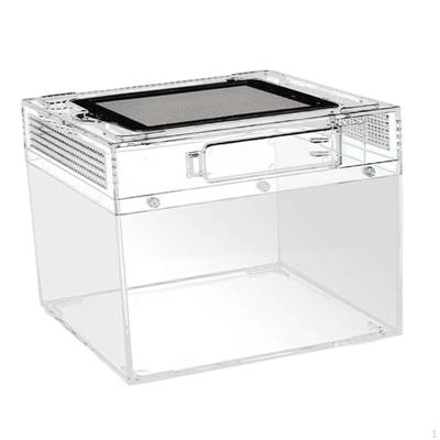 Breeding Terrarium for Reptiles, Transparent Reptile Box, Container Frogs, Dragons, Centipedes,