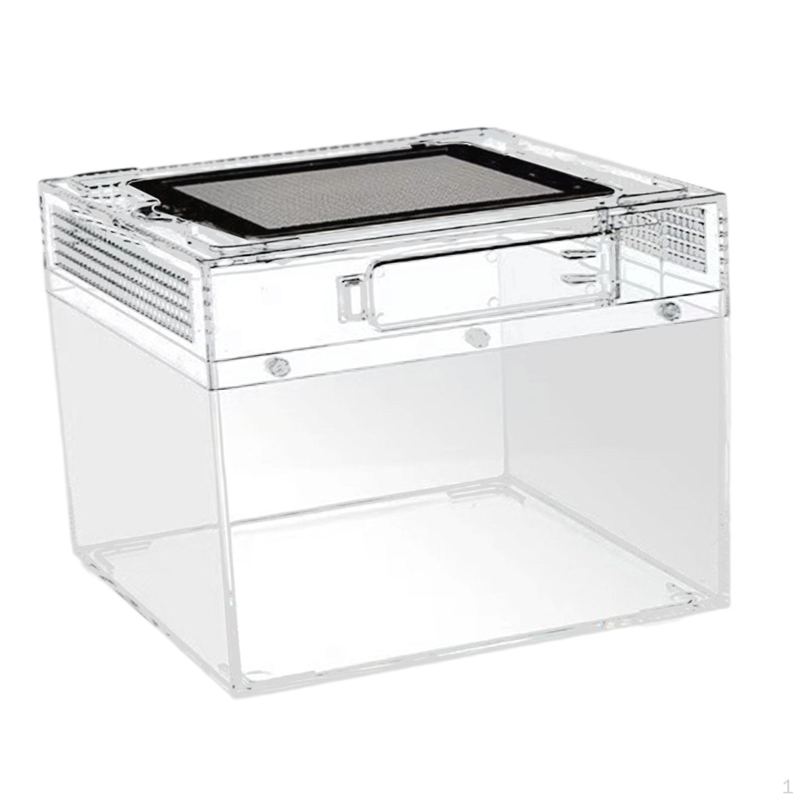 

Breeding Terrarium for Reptiles, Transparent Reptile Box, Container Frogs, Dragons, Centipedes, 20cmx20cmx15cm