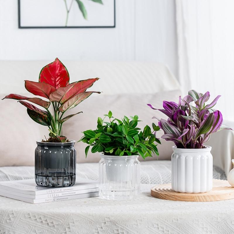 Eleganckie Półprzezroczyste Hydroponiczne Doniczki Ogrodowe z Efektywną Kontrolą Wilgoci Odpowiednie dla Sukulentów Bonsai