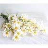 Simulation Small Daisy Chamomile Fresh Fake Dried Chrysanthemum Living Room Decoration