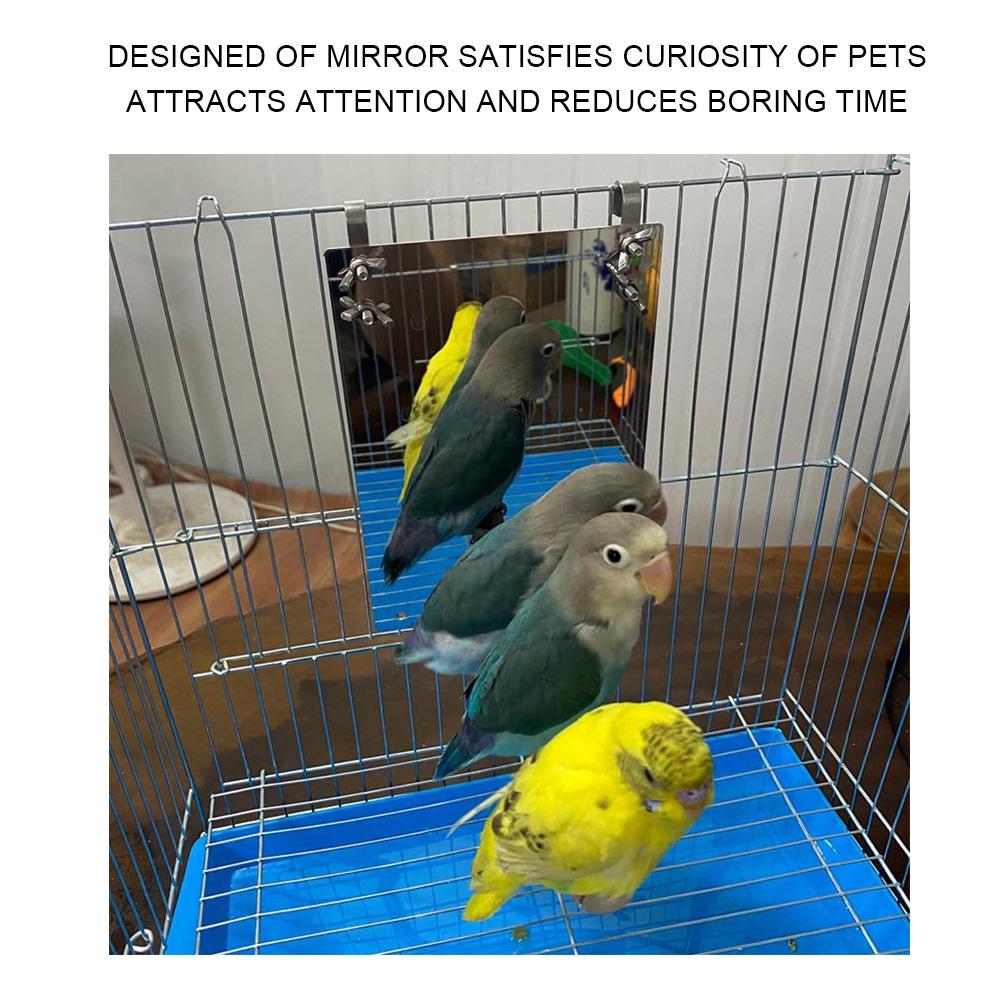 Stainless Steel Bird Mirror, Wooden Support Rod for   Cage Accessories, with Fixed Screw Easy Installation, Mirror Size 17x12cm