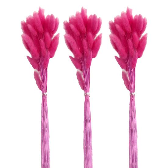 1 set Buchet de flori uscate Produse de uz casnic Coada de iepuraș