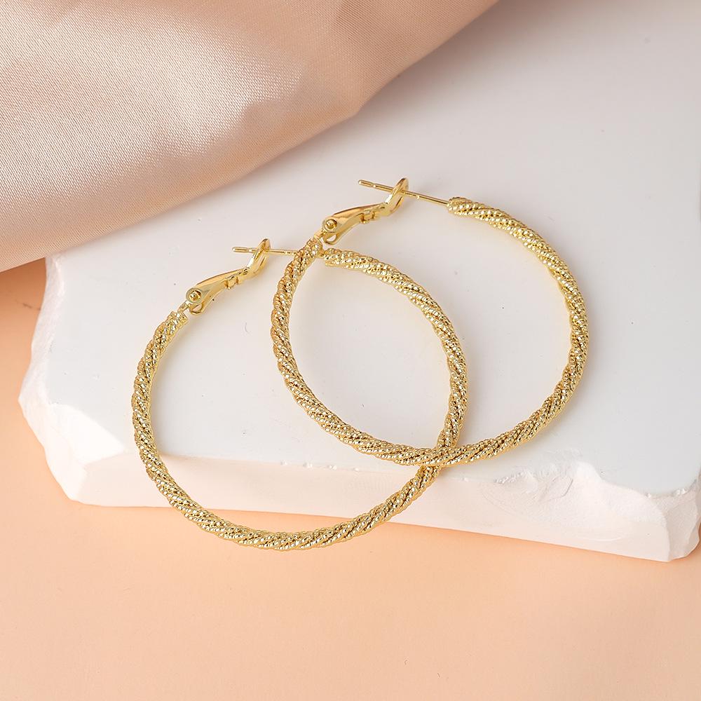 S925 Silver Needle Large Hoop Earrings for Women - Light Luxury Ear Studs, Niche Design, Exaggerated Square & Round Face Plain Hoops