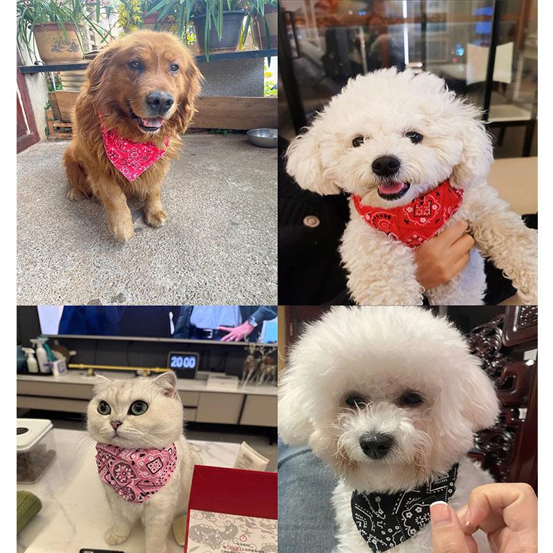 Einstellbare Dreieckige Bandage Für Haustier Hund Katze Waschbar Schal Bandana Kragen Lätzchen Katze Hals Dekor Geburtstag Party Dress Up