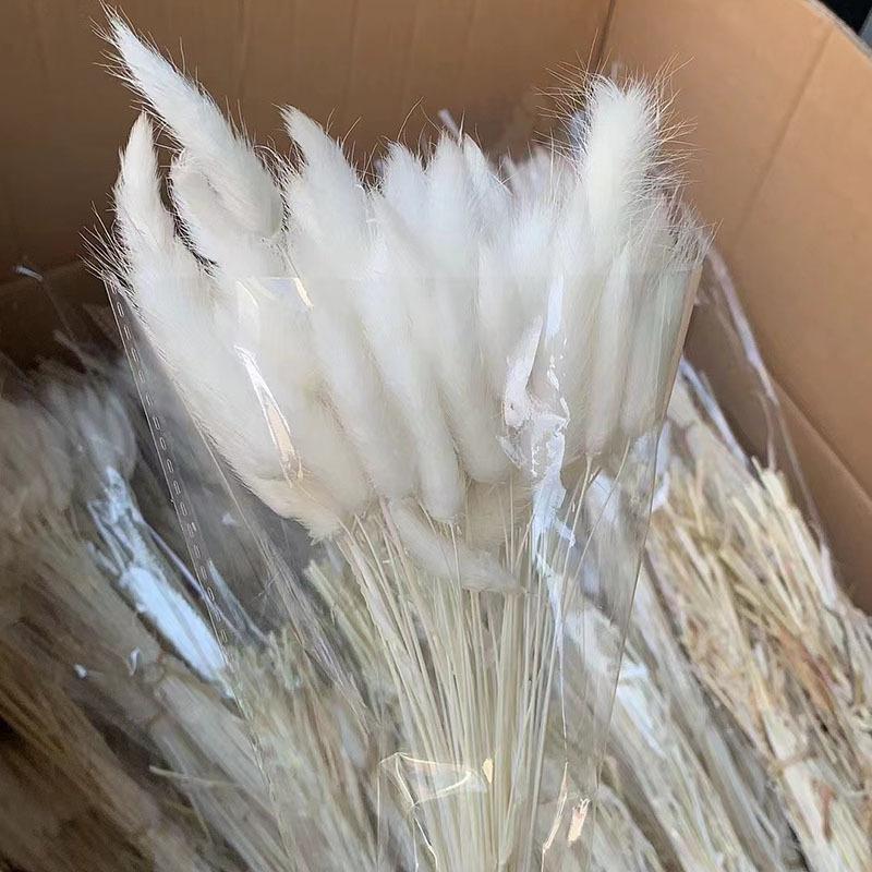 מקור יונאן שילוב זר פרחים מיובשים, פרח אמיתי עשב פמפס קישוט בית קנה סוף עשב זנב ארנבת פרחים מיובשים
