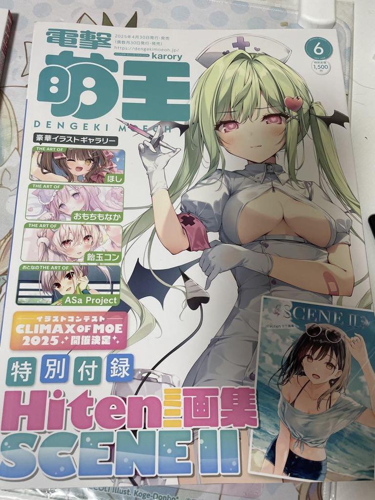 [USED] Same-day shipping Dengeki Moeoh No. 6 & No. 10 set