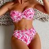 2025 European & American Print Women's Sexy Bikini Swimsuit for Beach & Hot Spring
