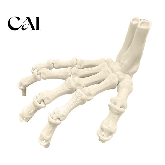 Festive Scary Home Decor Halloween Skeleton Hands, 3D Printed Hand Bones Model, Realistic Creative Holiday Atmosphere Spooky Bone Claw Prop for Party