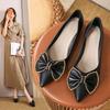 Pointed flat-soled Doudou shoes spring new female bow late evening gentle shoes versatile with skirt fairy single shoes