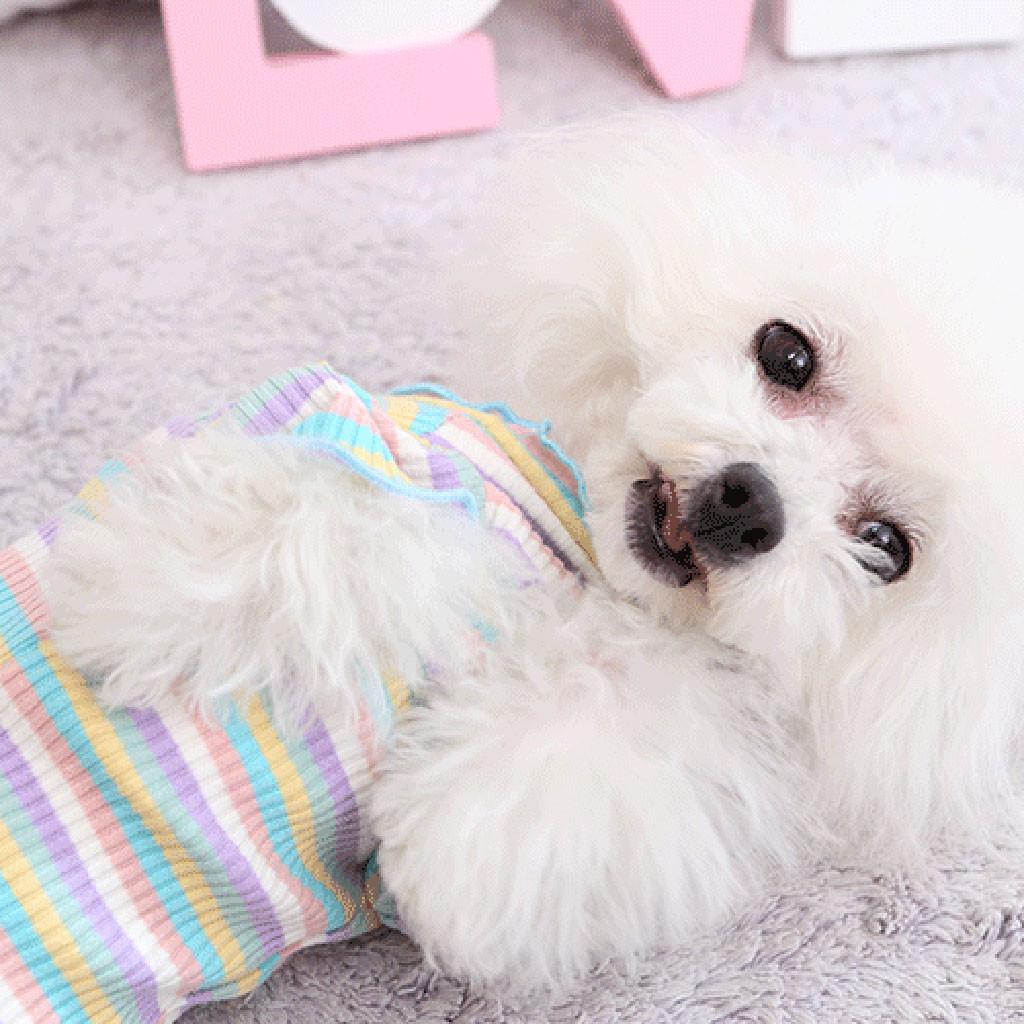 Pet Dog Clothes Puppy Vest T-shirt Shirt Cute  Pajamas Cat Winter