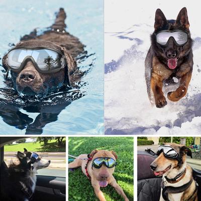 Plastic Pet Goggles Multicolor Anti-UV Pet Sunglasses Windbreak Sun Shading Dog UV Protection Glasses