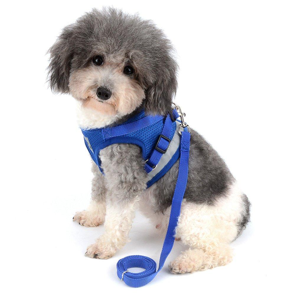 RANPHY Mesh Dog Harness with Reflective Leash Set for Extra and Perfect for and and Available in 4 Colors Small, Small, Puppies, Walks, Training,