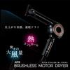 iBILL brushless motor dryer