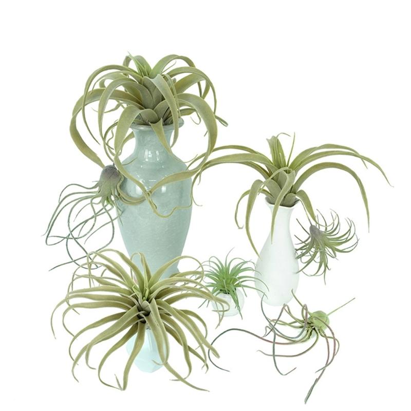 Realistic Faux Tillandsia Succulents Artificial Air Plant For Indoor Home Office Green Plant for Shelf Desk Decoration
