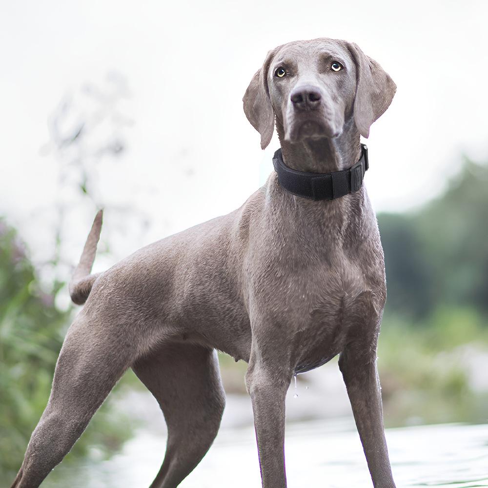 Pet Tactical Collar with Handle and Leash - Explosion-Proof Design