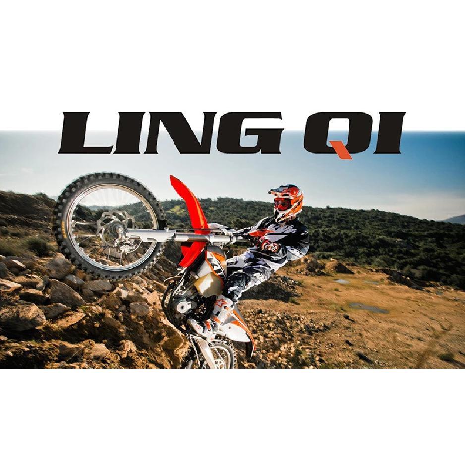 LINGQI Side Fender for Second-Generation Longer Rear Fender Fit To  Light Bee X and S.