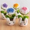 New Animal Crochet Flower Pot Cute Handwoven Flowers Knitting Flower Bookshelf Car Decoration Friends Gifts