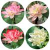 Artistic Simulated Lotus Flower DIY Decoration Decorative Fake Flower  Wedding Decoration