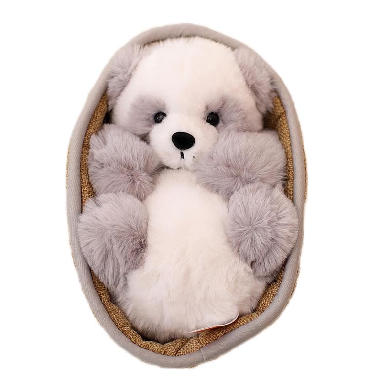 HYAKURI Plüsch Niedlich Klein Gefüllter Körper Plüschtier Panda Bär/Teddybär, Tier, Tier/Bärenwickel/Bärenkissen/Feier/Flauschig (C Grau, 21cm)