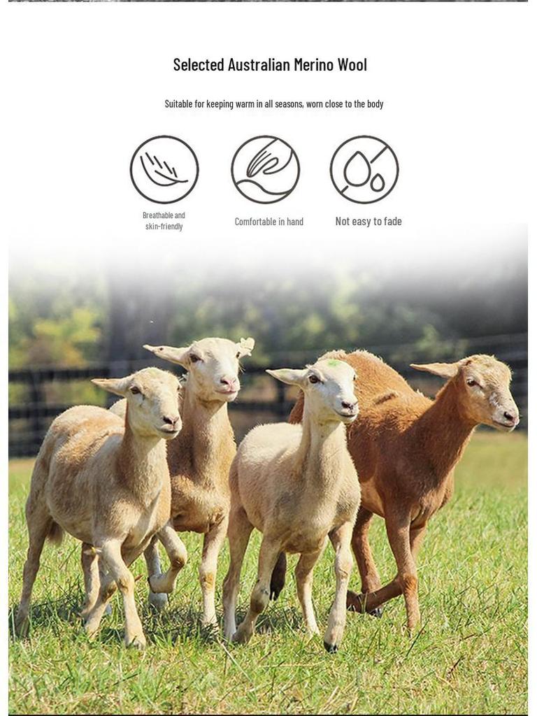 Unisexový podpůrný pás na pas s pelyňkem a kašmírem: Hřejivý břišní pás a chránič žaludku pro ochranu před chladem.