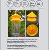 Fruit Fly Trapper with Natural Attractant No  Hanging Fly Catcher for Kitchen Farm Orchard Garden Pest Control