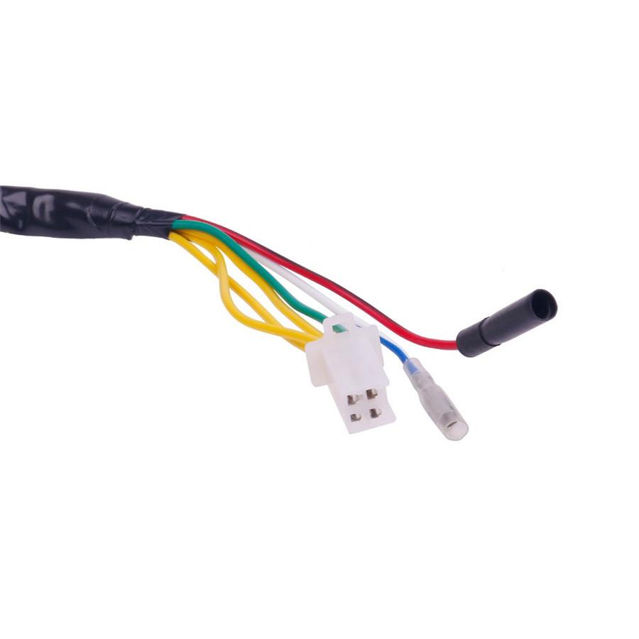 11 Coil Magneto Alternator Stator for GY6 Chinese Scooter Moped ATV Go Kart Quad