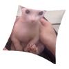 Funny Bingus Throw Pillow Covers Living Room Sofa Decoration 3D Print Sphynx Cat Meme Sofa Cushion Cover Double-sided