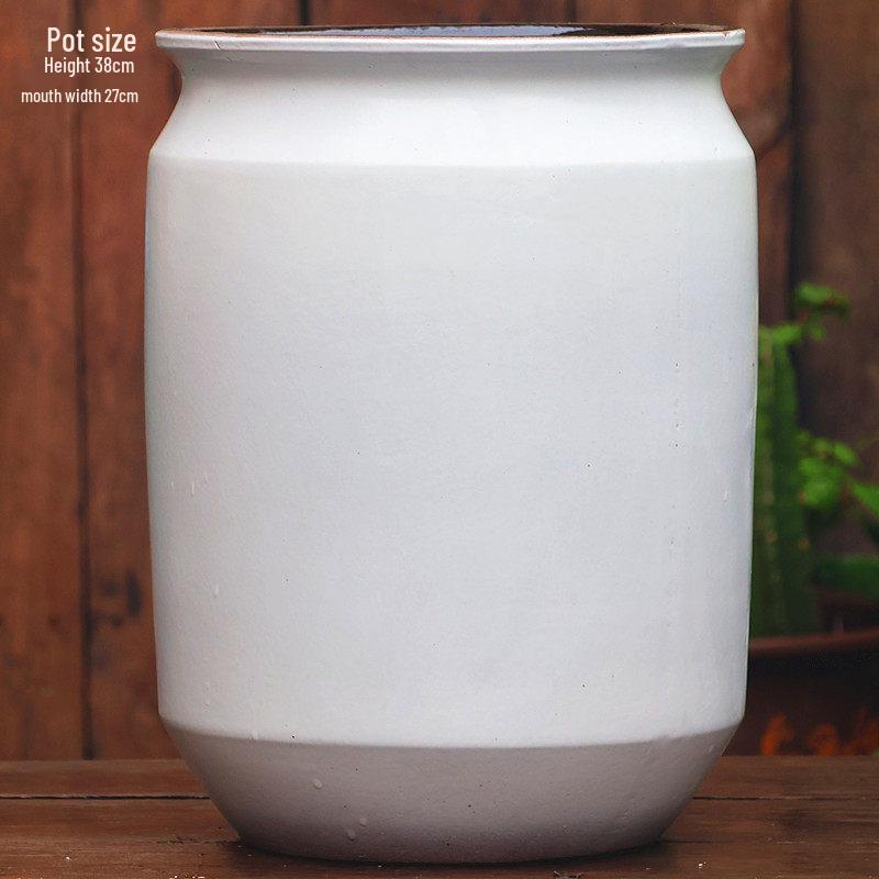 Large Coarse Ceramic Succulent Pot: Tall, Breathable, for Bougainvillea & Birds of Paradise
