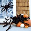 House Home Party Spiders Plush Spiders Artificial Spider Halloween Decoration Party Decoration
