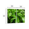 Glass Protective Stovetop Plate 2x30x52 Basil